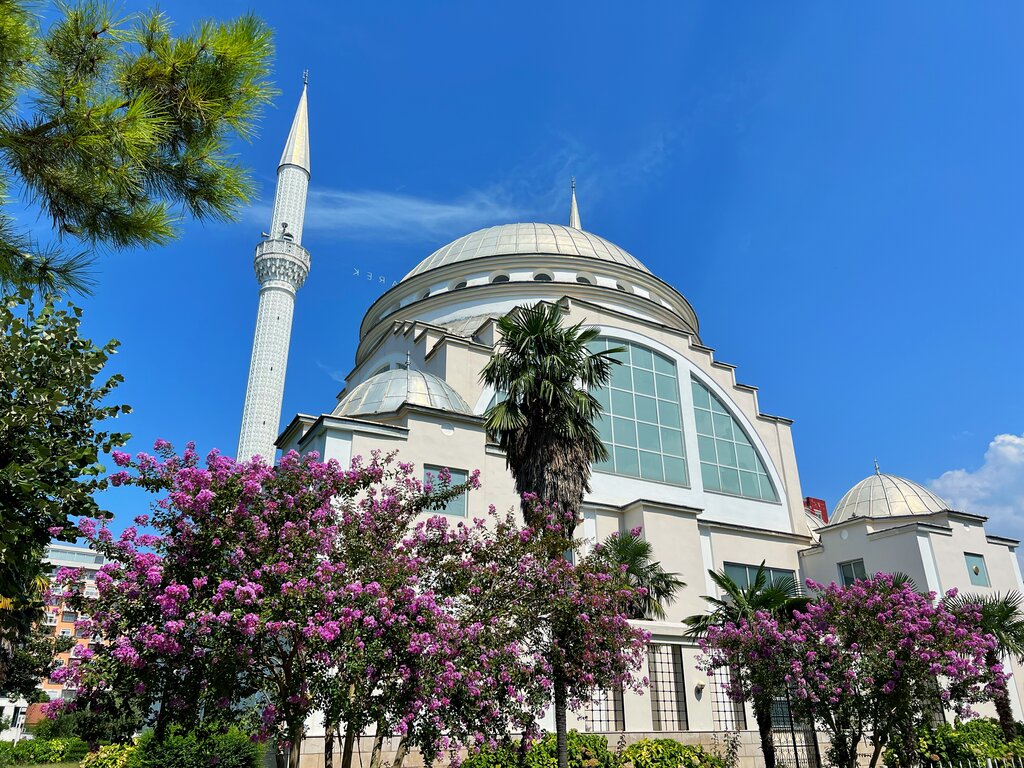 The dome and minaret of the Ebu Bekr Mosque in Shkodra behind flowering trees