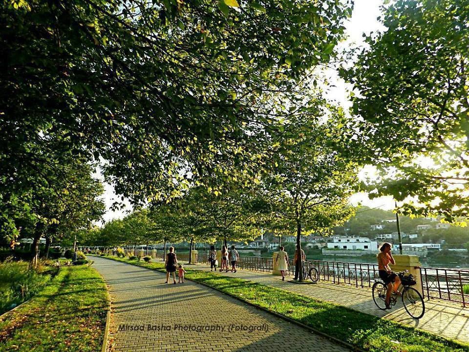 Tree-lined lakeside promenade near Shkodër, on the flat cycling route between the city centre, Rozafa Castle and Shiroka